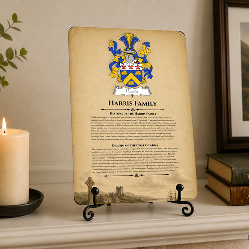 Irish Family History Metal Sign