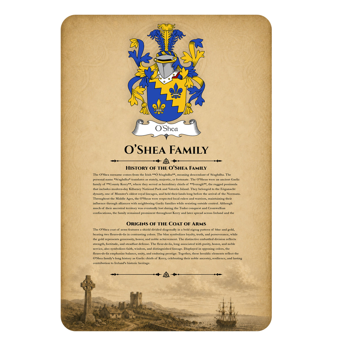 Irish Family History Metal Sign