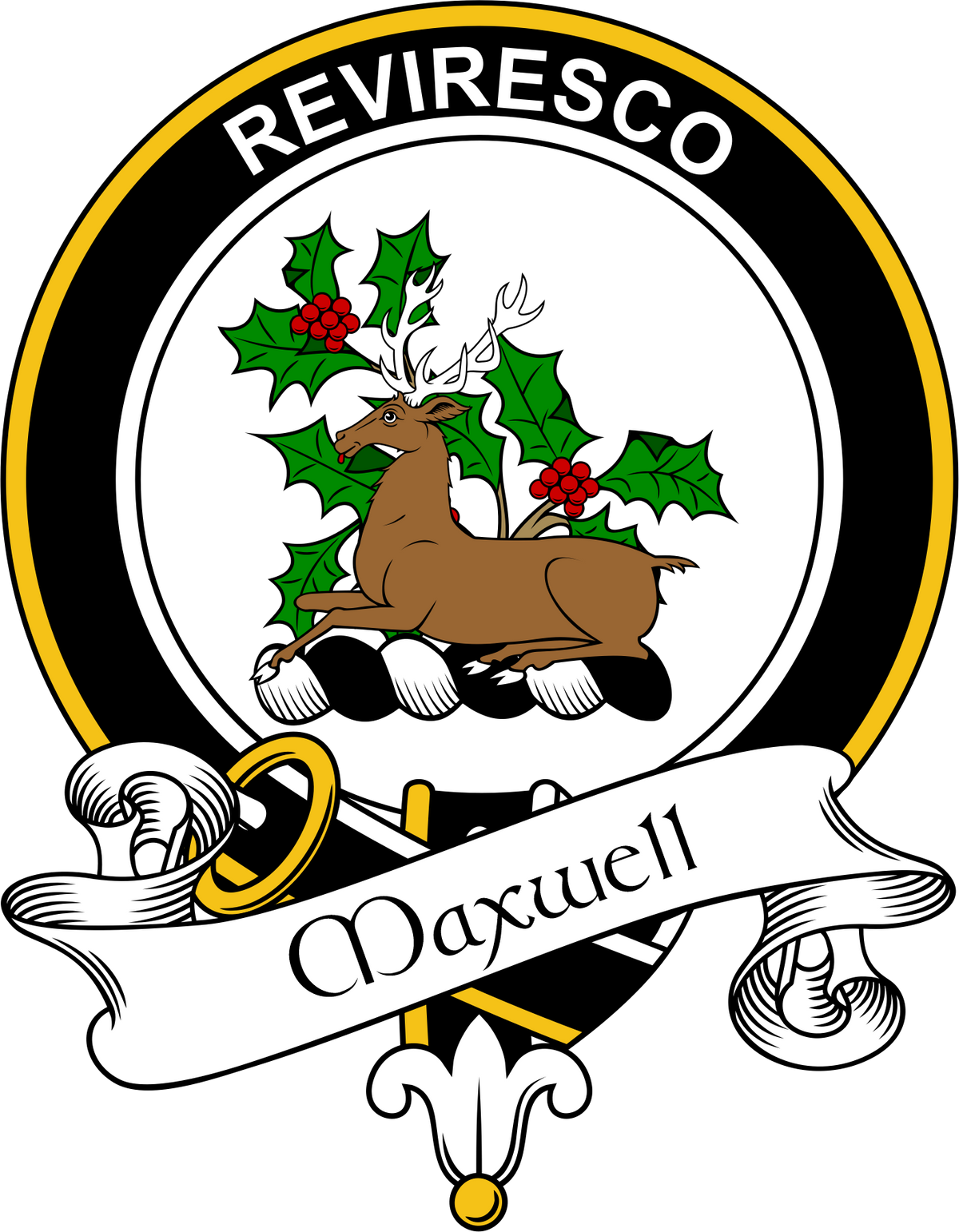 Maxwell